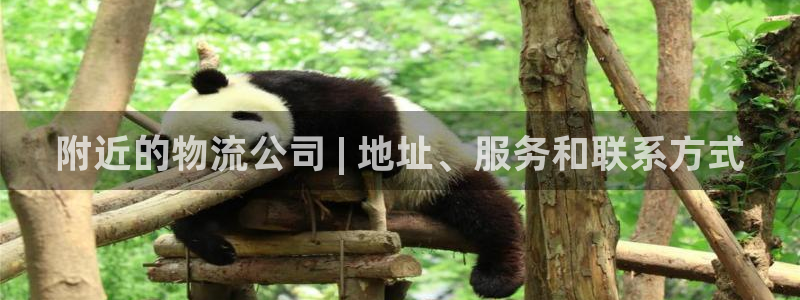28圈免费充钱：附近的物流公司 | 