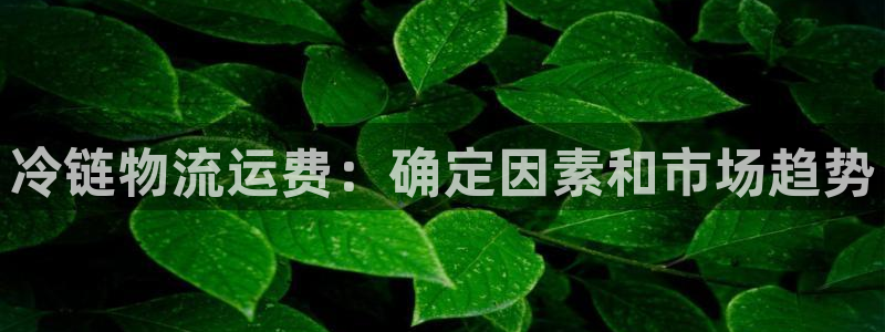 28圈注册限制怎么解除：冷链物流运费