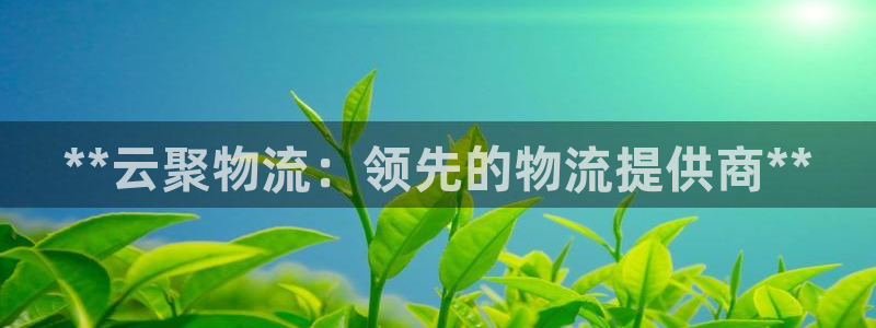 28圈软件总是闪退怎么回事