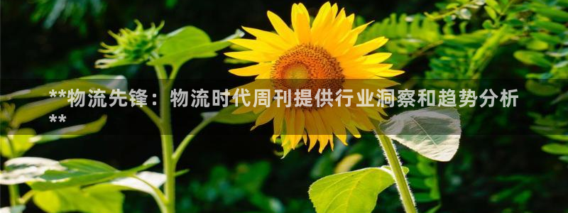 28圈app注册地址：**物流先锋：
