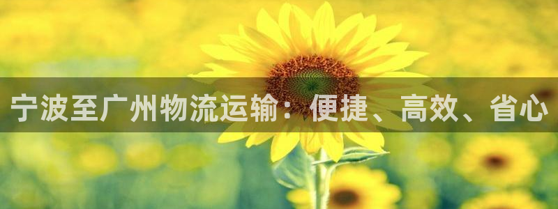 28圈反水什么时候到