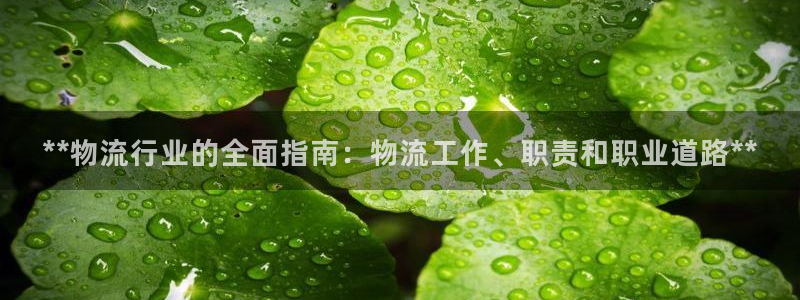 28圈入口问一问