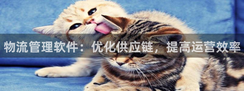 加拿大28圈数字规则