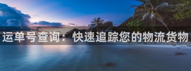 28圈电子