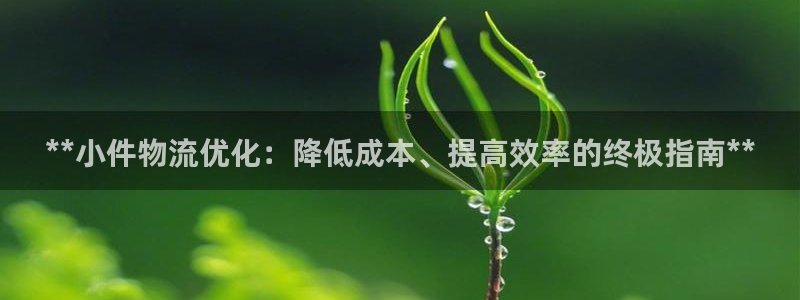 28圈如何注销账号