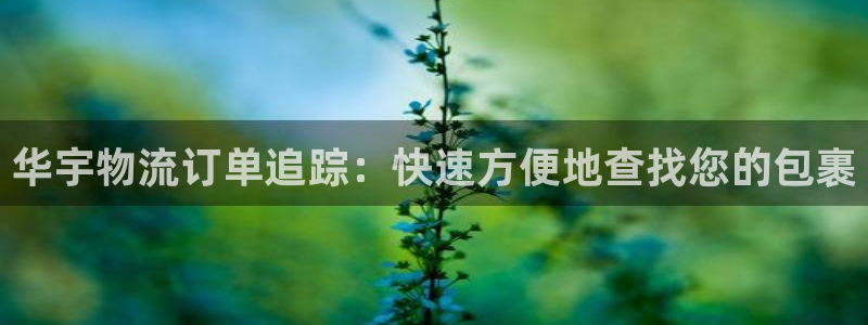 28圈官方网站是多少