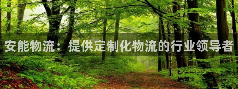 28圈注册问一问：安能物流：提供定制