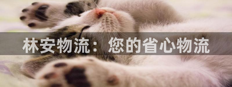 28圈注册登录链接：林安物流：您的省