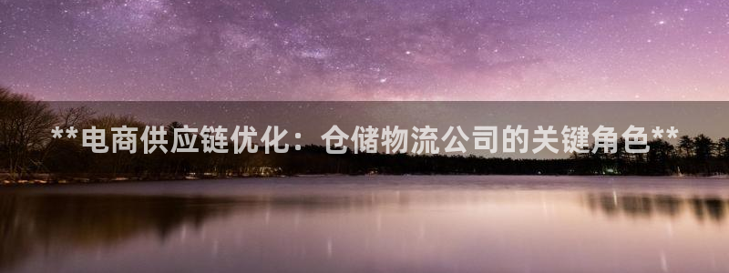 28圈退款教程：**电商供应链优化：