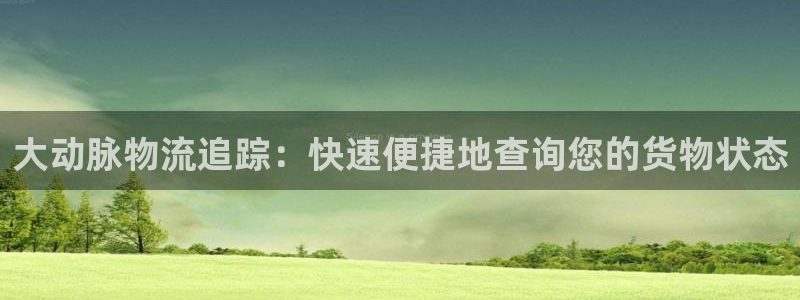 28圈相信品牌的力量：大动脉物流追踪