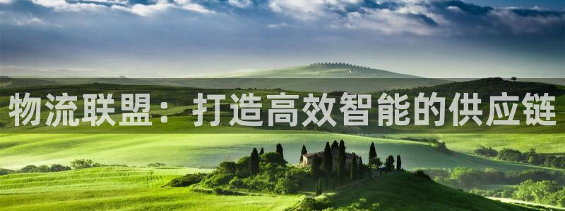 28圈龙虎
