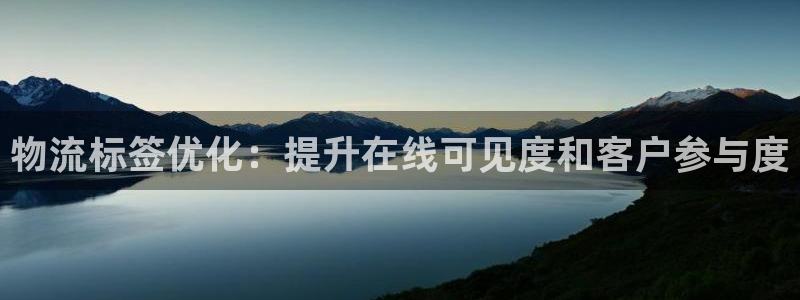 28圈软件：物流标签优化：提升在线可