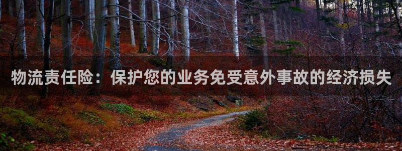 28圈官方