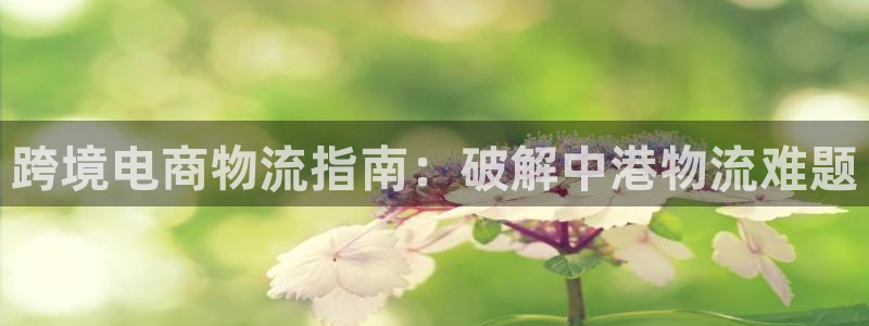 28圈网站怎么注册：跨境电商物流指南