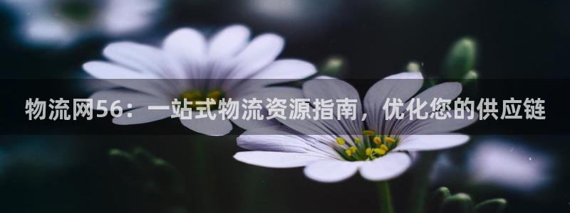 28圈充值不到账怎么办：物流网56：