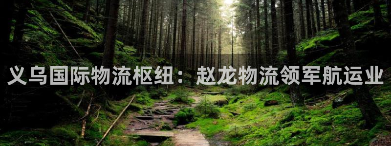 28圈注册步骤：义乌国际物流枢纽：赵