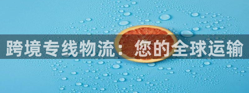 28圈加拿大在线预测：跨境专线物流：