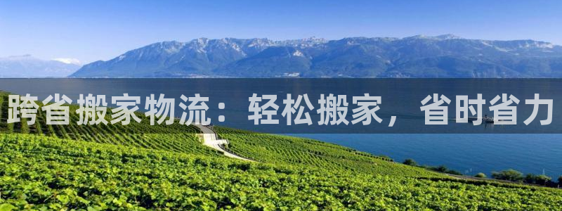 28圈那个才是充值账号：跨省搬家物流