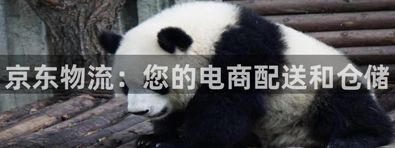 28圈注册入口与教程：京东物流：您的