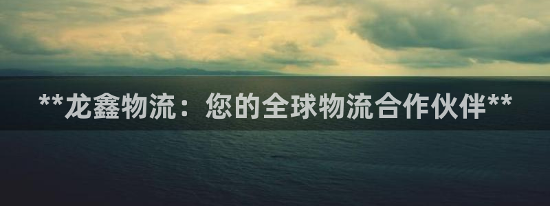 28圈p扣除：**龙鑫物流：您的全球