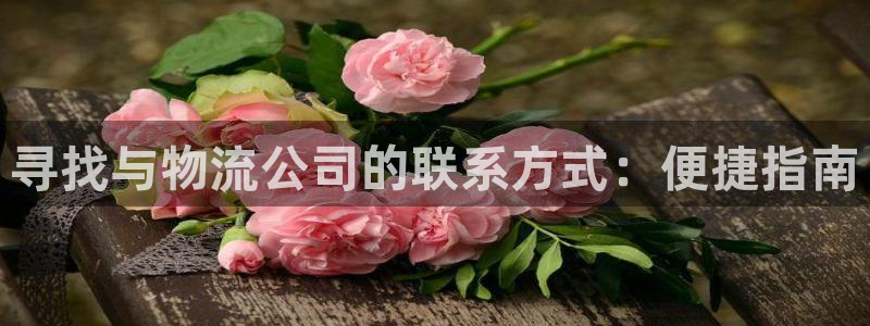 28圈注册链接教程：寻找与物流公司的