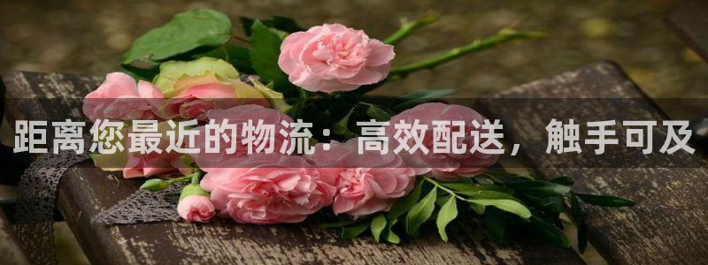 28圈.ccmpc预测：距离您最近的