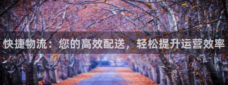 28圈加拿大：快捷物流：您的高效配送