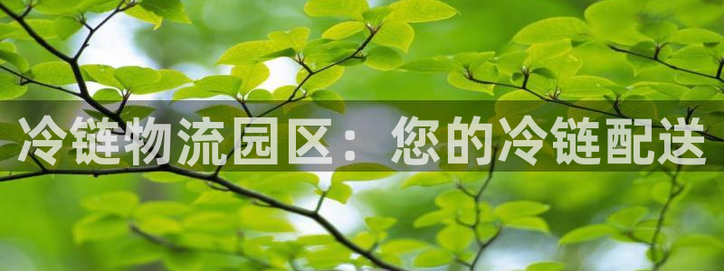 28圈登录不上咋回事：冷链物流园区：