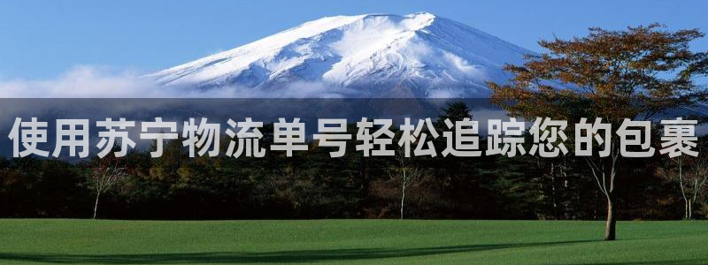 28圈在线预测官网：使用苏宁物流单号