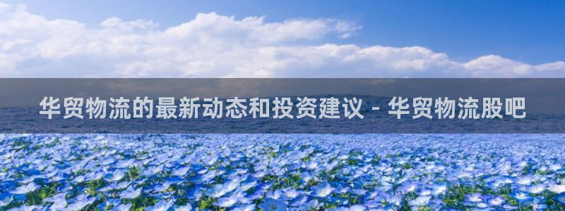 28圈p扣款什么意思