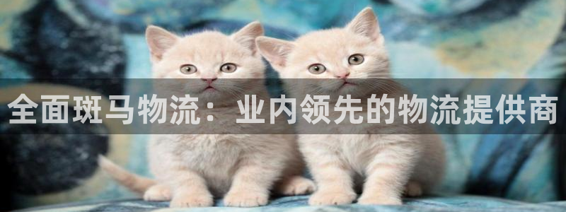 28圈官网下载链接是什么