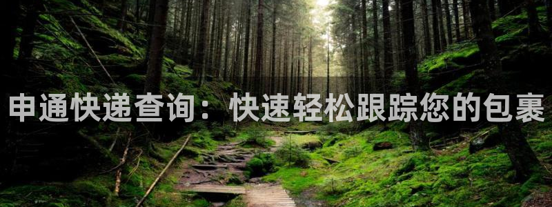 28圈官网平台下载：申通快递查询：快