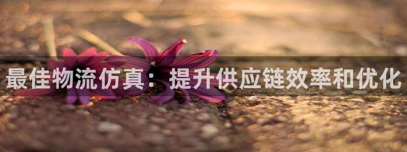 28圈免费：最佳物流仿真：提升供应链