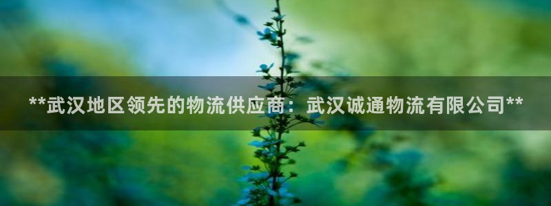28圈官网下载链接是什么：**武汉地