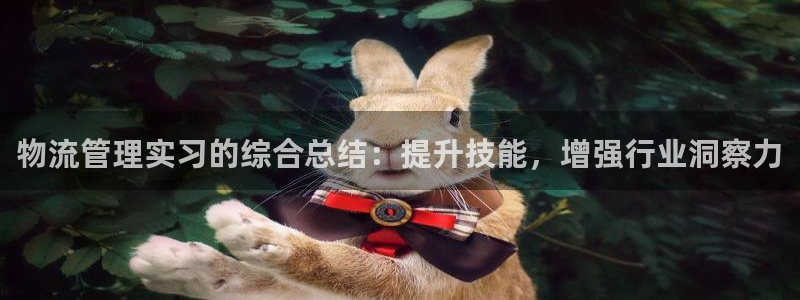 28圈.ccmpc预测：物流管理实习