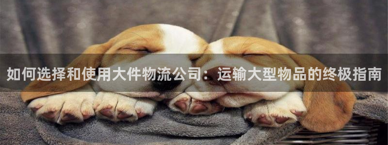 28圈.ccmapp：如何选择和使用