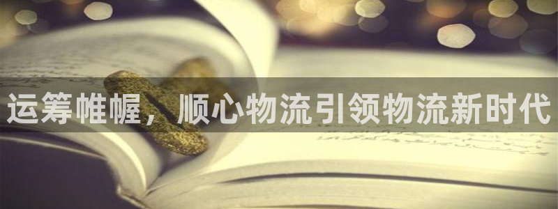 28圈是啥：运筹帷幄，顺心物流引领物