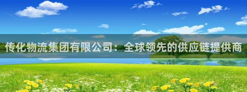 28圈注册网站多少钱一个：传化物流集