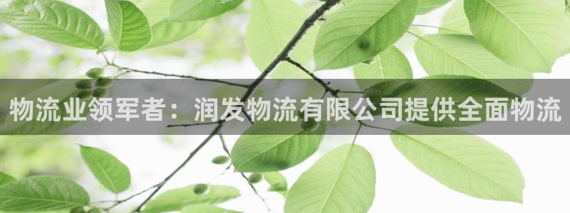 28圈链接来一个：物流业领军者：润发