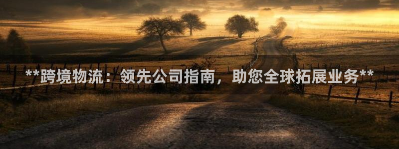 28圈官网开奖结果预测：**跨境物流