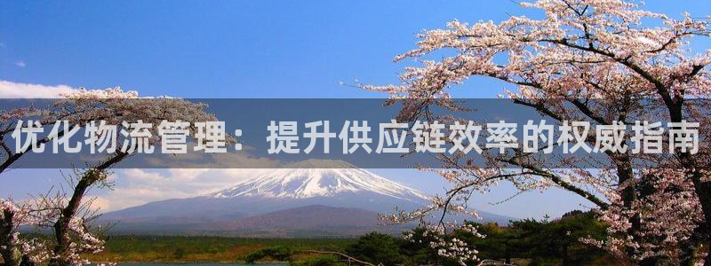 28圈.ccmpc正版