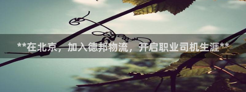28圈链接是什么：**在北京，加入德