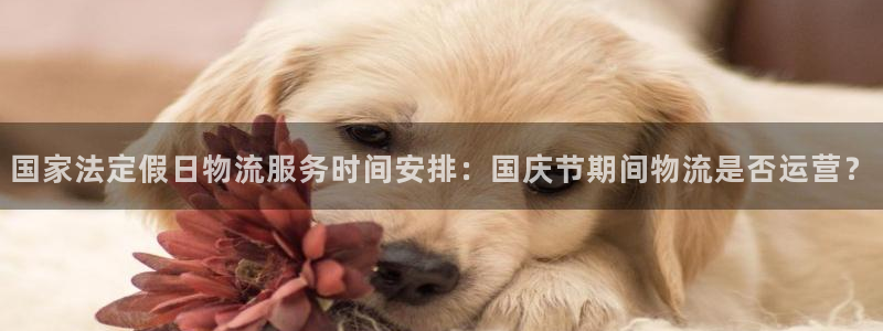 28圈ccm游戏：国家法定假日物流服