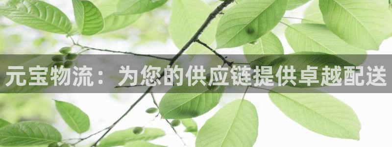 28圈圈
