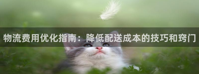28圈注册登录：物流费用优化指南：降
