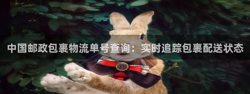 28圈怎么下载：中国邮政包裹物流单号查询：实时追踪包裹配送状