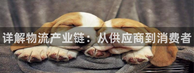 28圈软件是诈骗吗：详解物流产业链：