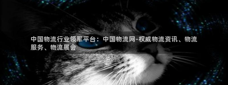 28圈连输10天：中国物流行业领军平