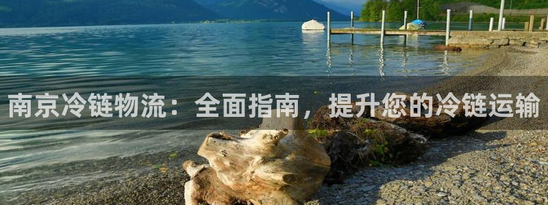 28圈下载体育：南京冷链物流：全面指南，提升您的冷链运输