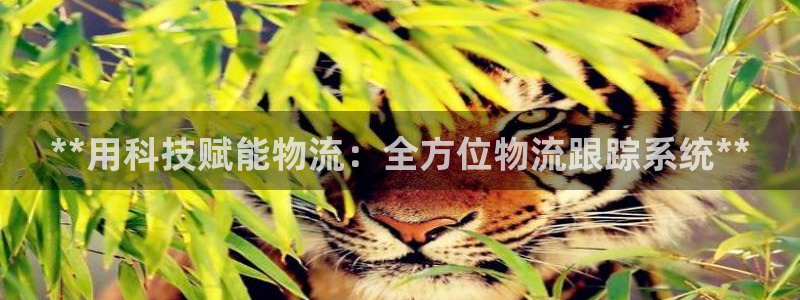 28圈系统自动保护